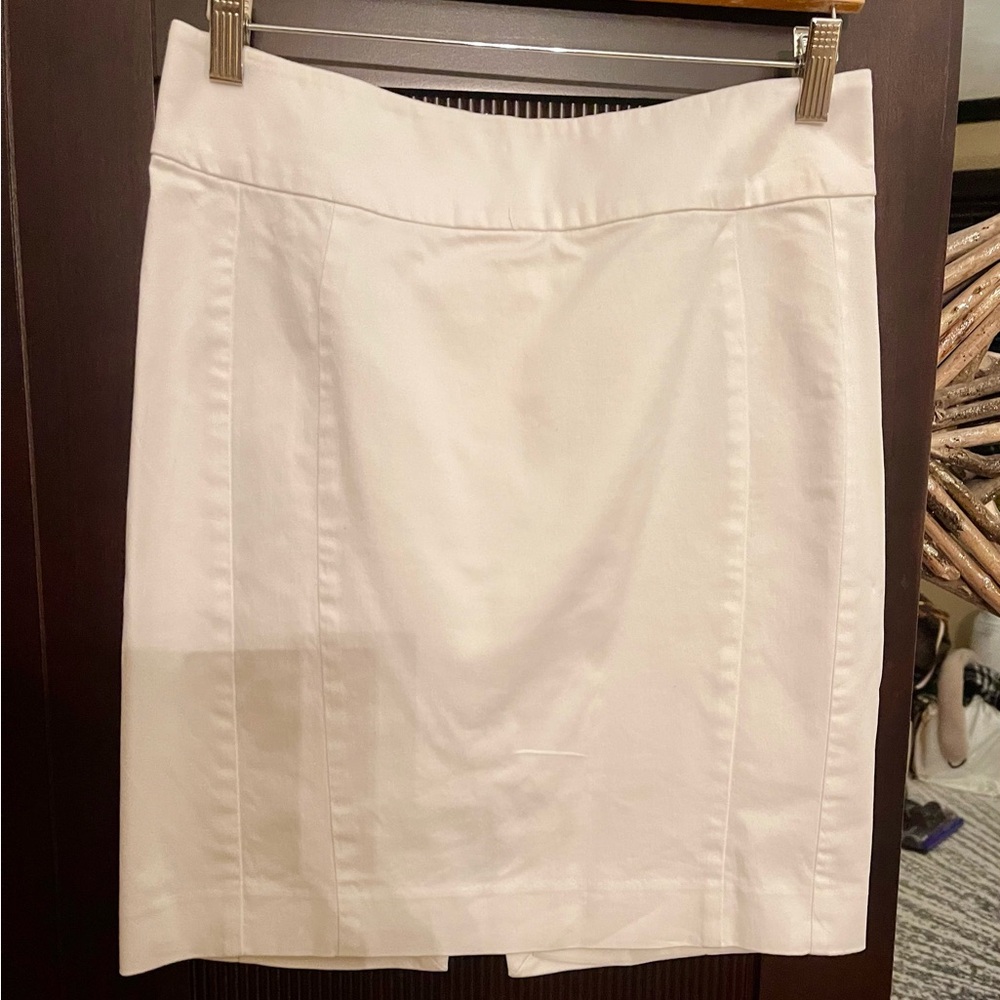 Express Skirt